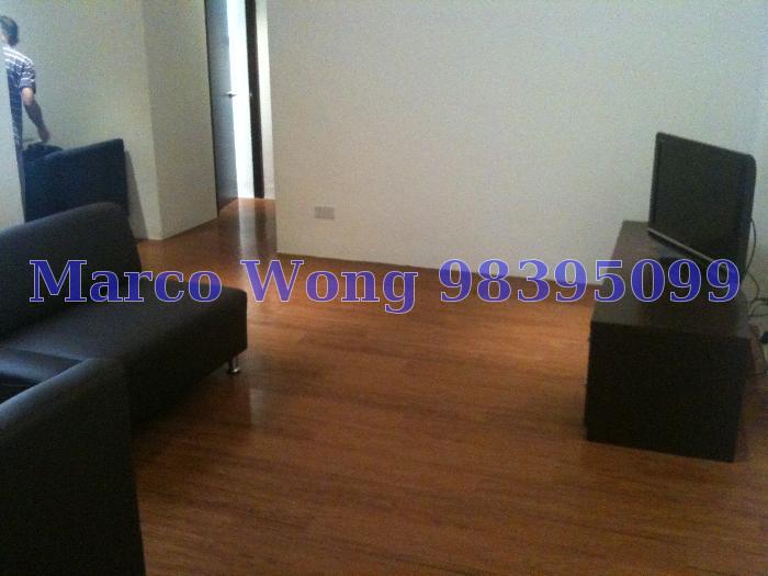 Jalan Besar Plaza (D8), Apartment #65960492